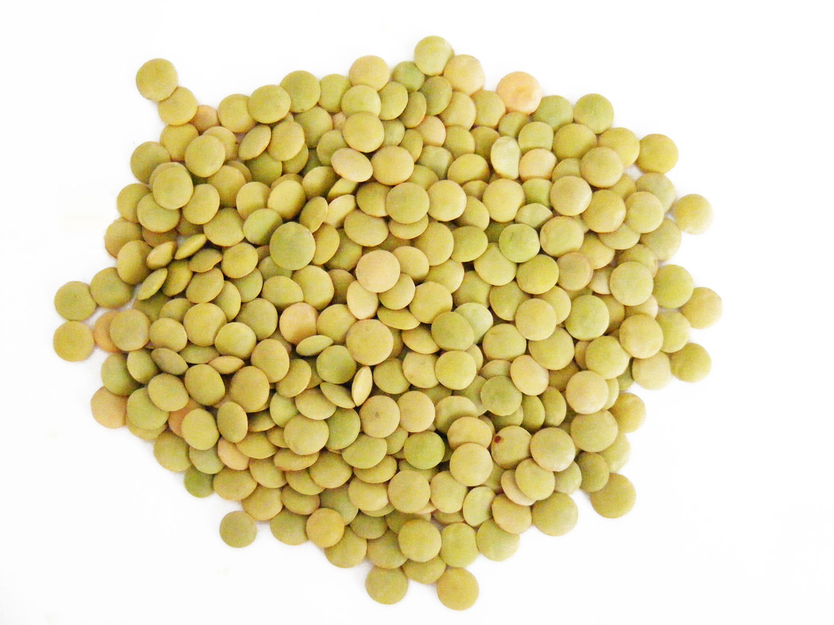 Green Lentils